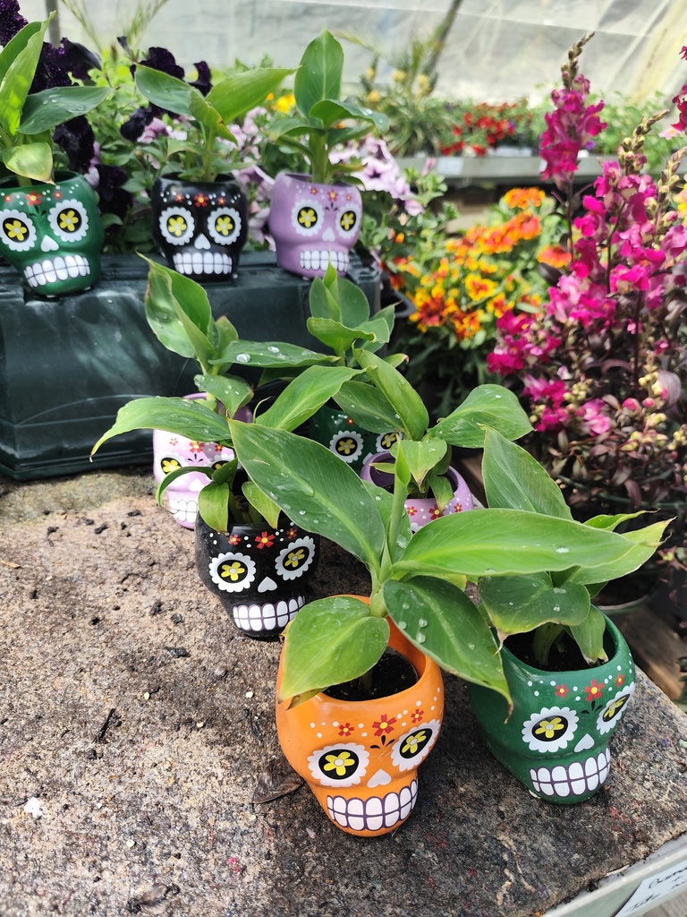 Mini Tete déco