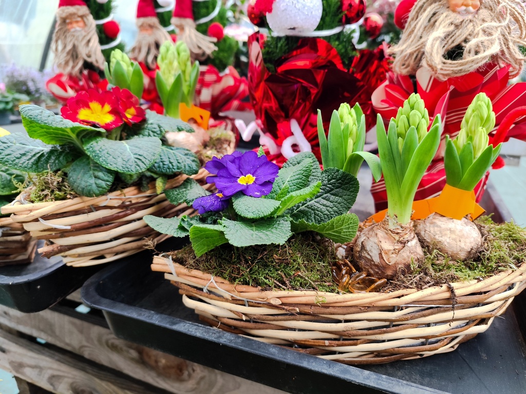 Bateau osier fleurie 