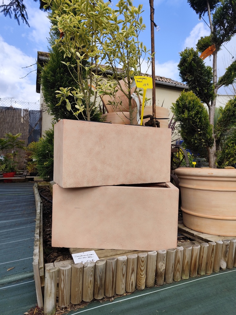 Pot Jardiniere Ext 60x22x30cm