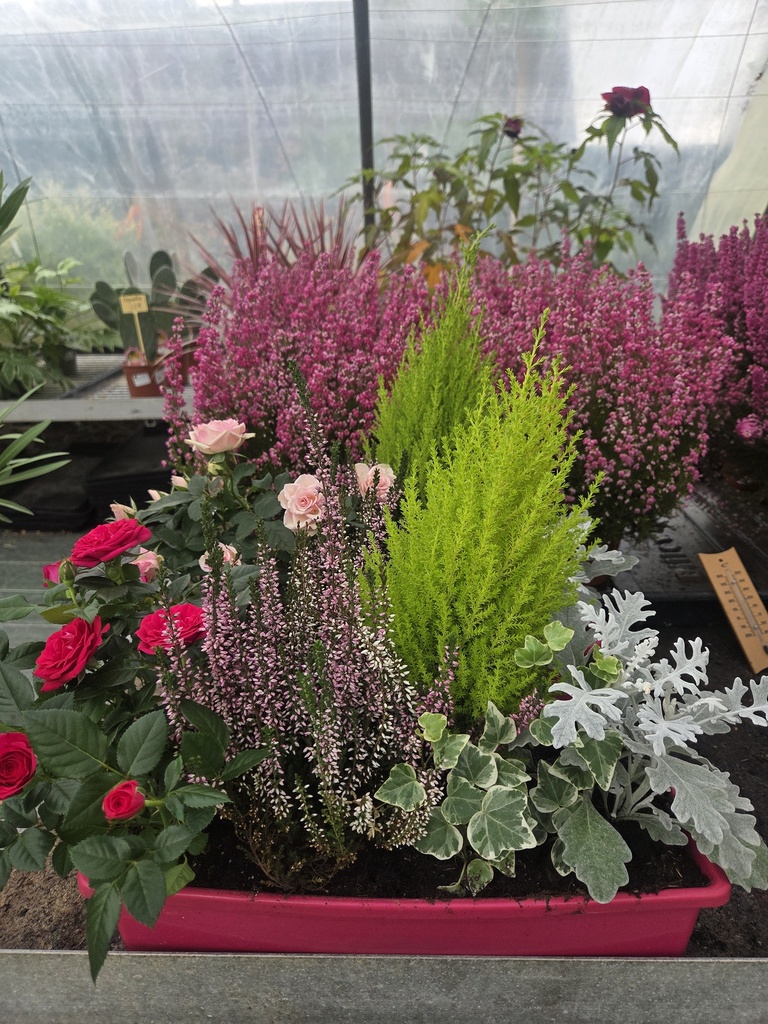 Compo jardinière fleurie 